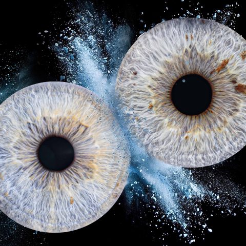Iris