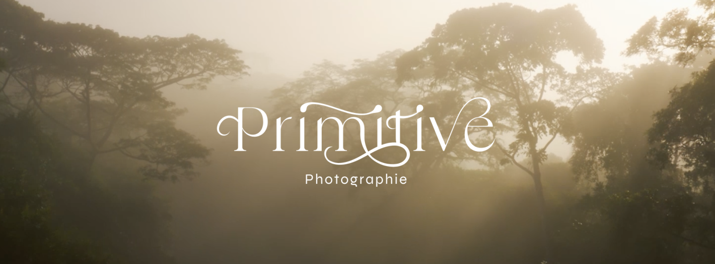Primitive